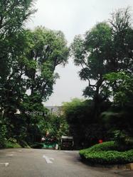Balmoral Park (D10), Apartment #129266082
